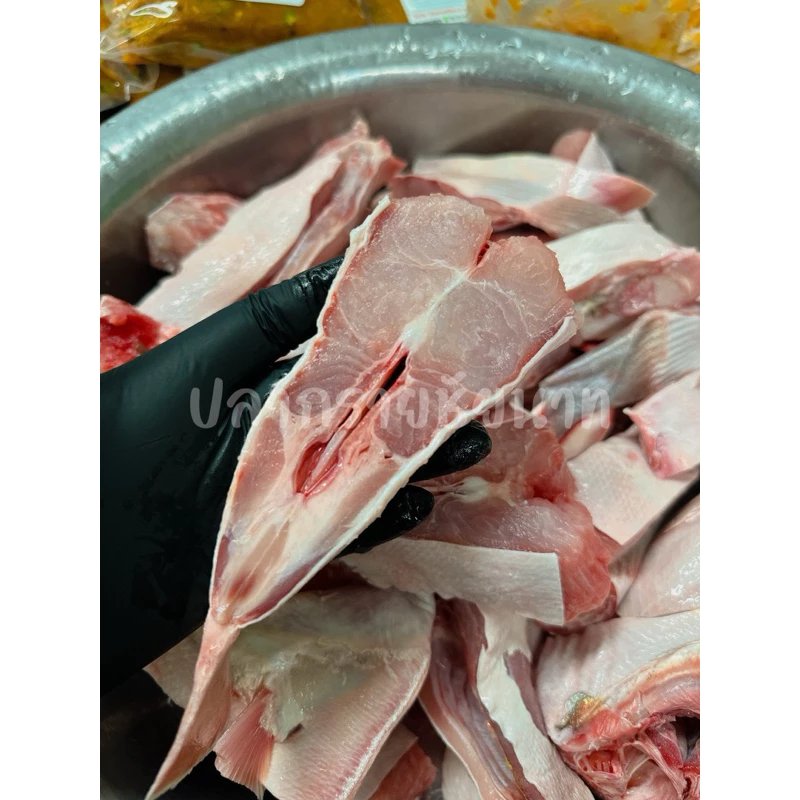 เชิงปลากรายแท้ จากกลุ่มเกษตรกร จ.ชัยนาท วัตถุดิบพื้นบ้านรสจัด ขูดและแช่แข็งพร้อมใช้งาน เหมาะสำหรับต้มยำ ทอดกระเทียม หรือย่างเกลือ เก็บในช่องฟรีซได้ 1 เดือน ❌ห้ามแช่น้ำ ❗ควรละลายตามธรรมชาติก่อนปรุง