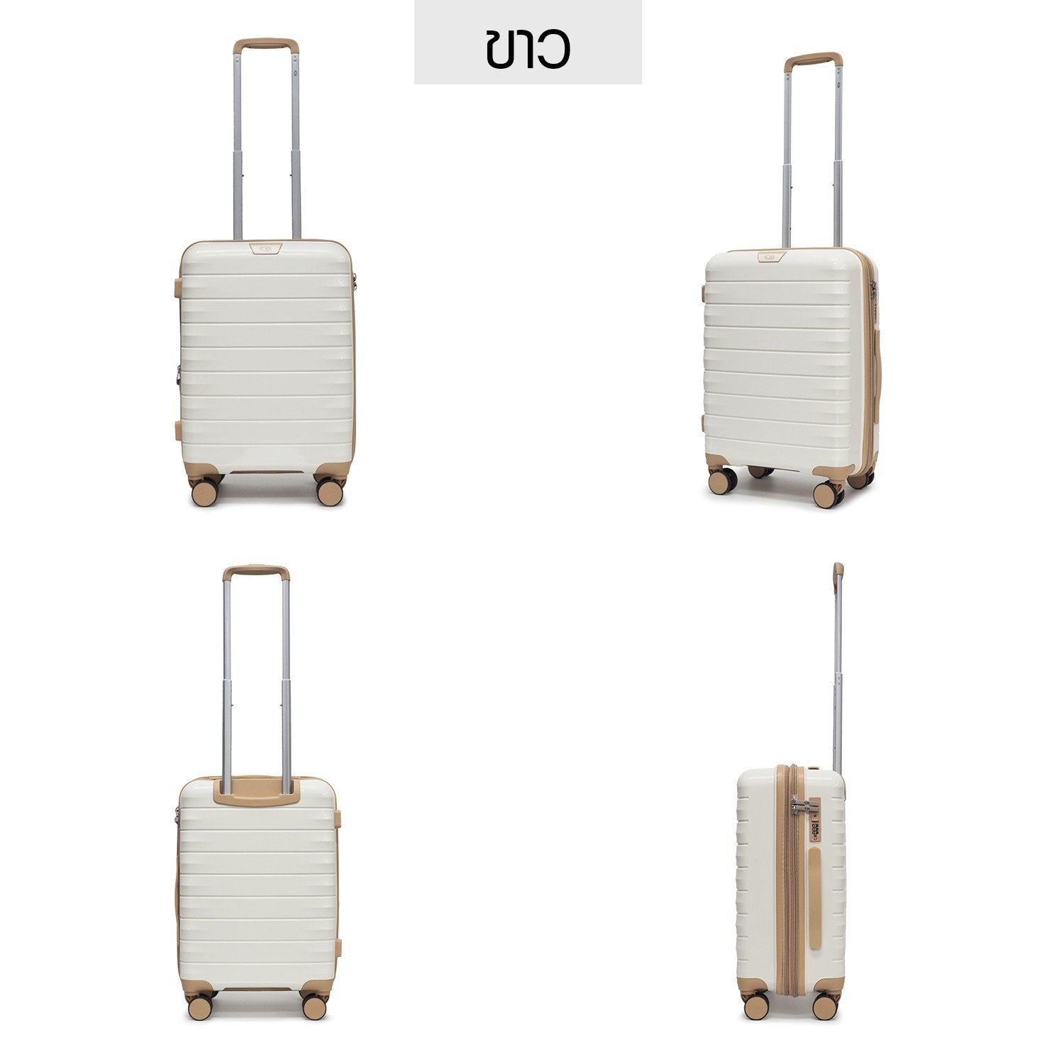 HQ LUGGAGE กระเป๋าเดินทาง PP 100% รุ่น Flora #5512X แข็งแรง ทนทาน น้ำหนักเบา มาพร้อมระบบล็อค 3 รหัส ปลอดภัยสูง 4 ล้อคู่ หมุน 360 องศา ขนาด 14, 20, 24, 28 นิ้ว เหมาะสำหรับการเดินทางทุกทริป ดีไซน์ทันสมัย